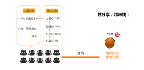 預售拼購模式軟件系統,農產品贛南臍橙案例推演剖析