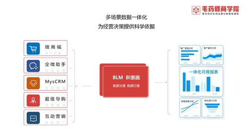 超級數字BLM新商業操作系統