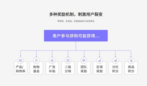 全民拼購參與即賺,全民拼購模式新零售系統